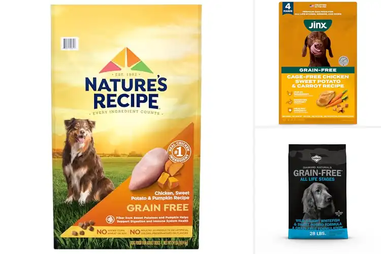 Detailed view of Best Grain Free Dog Foods With Real Chicken And Fish