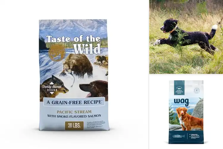 Detailed view of Best Grain Free Dry Dog Foods: Happy & Healthy Pups