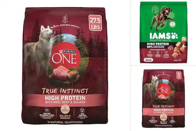 Detailed view of Best High Protein Dog Food: 10 Top Picks for a Healthier Pup