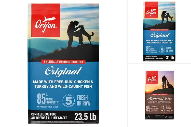 Detailed view of Best High Protein Dog Food With WholePrey
