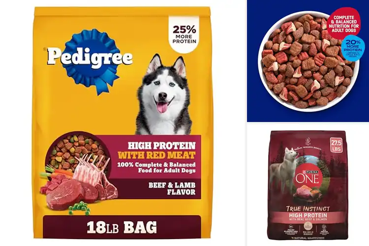 Detailed view of Best High Protein Dog Foods