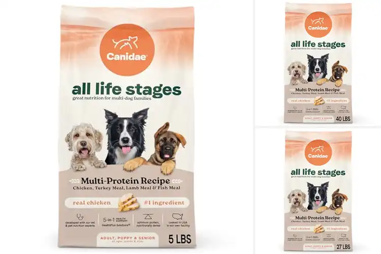 Detailed view of Best High Protein Dry Dog Foods For All Life Stages