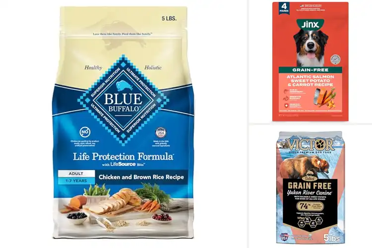 Detailed view of Best Immune Support Dog Food: Top 10 Picks for a Healthy Pup