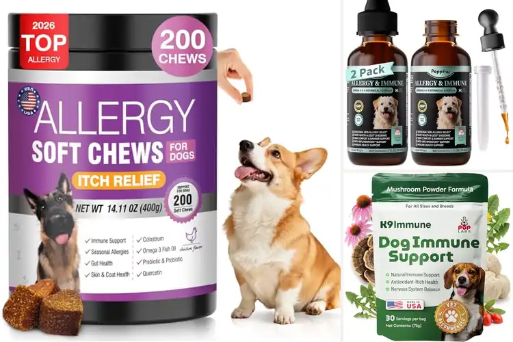 Detailed view of Best Immune Supporting Dog Foods