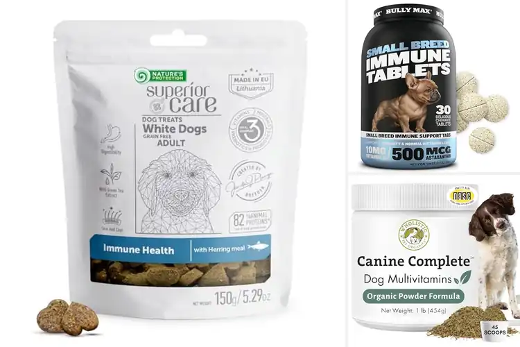 Detailed view of Best Immunity Supporting Dog Foods