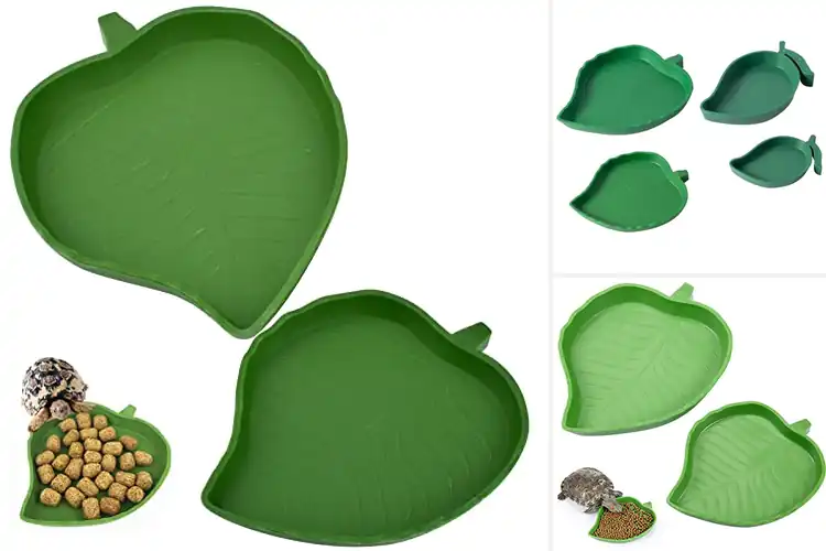 Detailed view of Best Leaf Shaped Reptile Bowls: Top Habitat-Boosting Picks