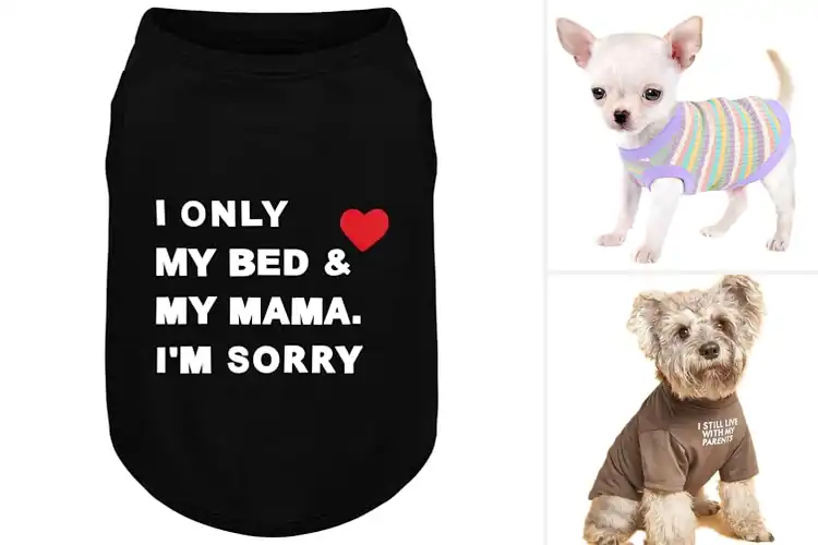 Detailed view of Best Lightweight Dog Apparel