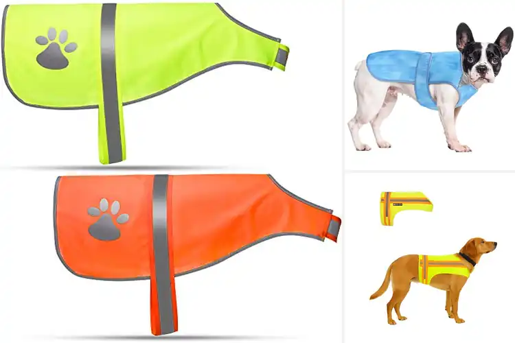 Detailed view of Best Lightweight Dog Vests