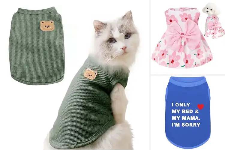 Detailed view of Best Lightweight Pet Apparel