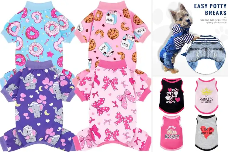 Detailed view of Best Lightweight Pet Outfit