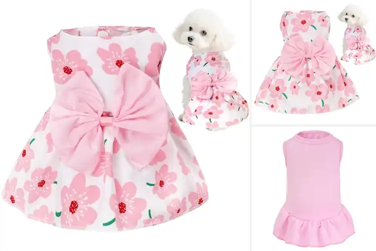 Detailed view of Best Lightweight Puppy Dress