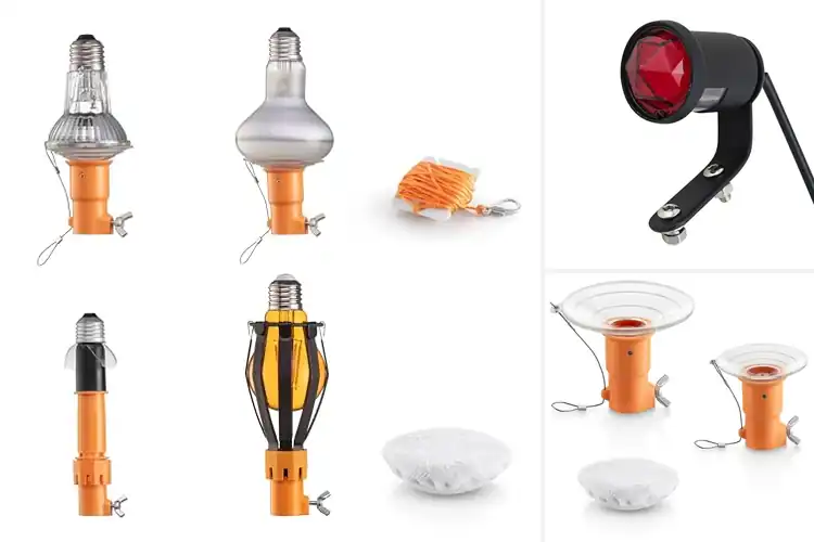 Detailed view of Best Multi Surface Fit Lights