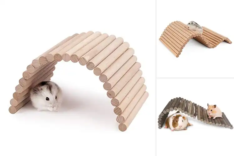 Detailed view of Best Natural Wooden Hamster Ladder Bridges