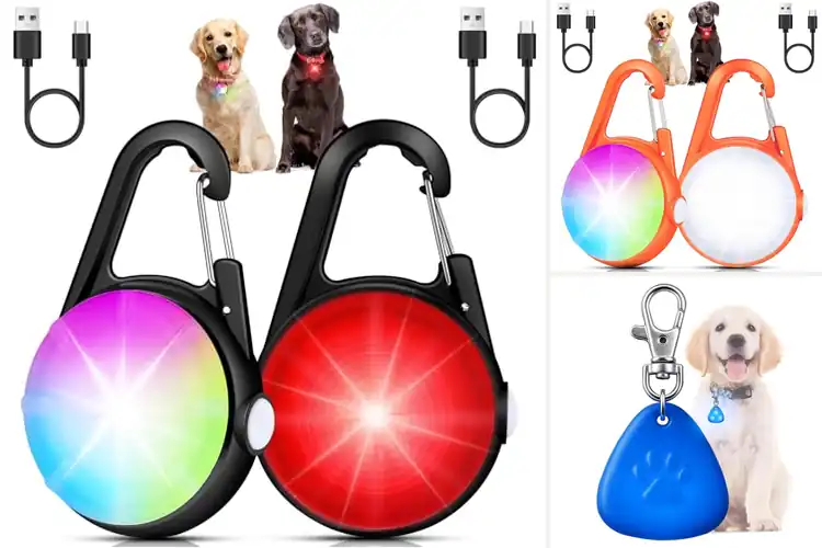 Detailed view of Best Night Trail Charming Light