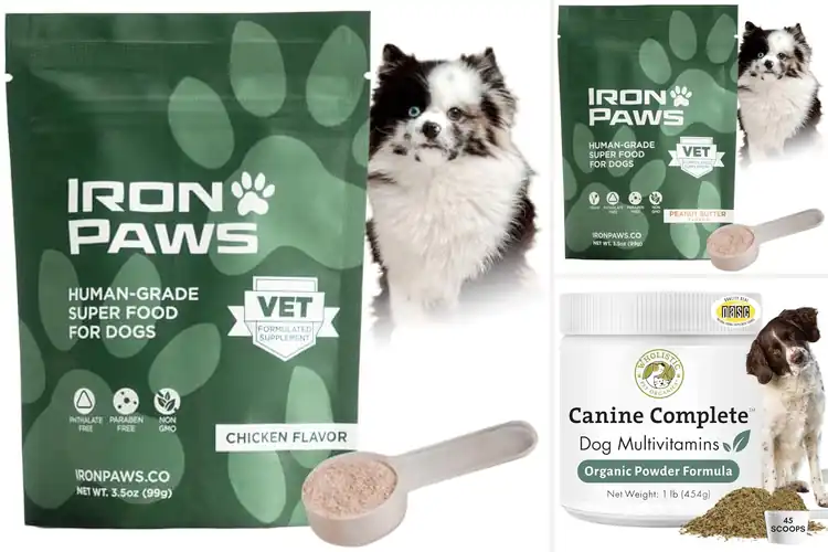 Detailed view of Best Nutrient Dense Dog Foods For Immune Health