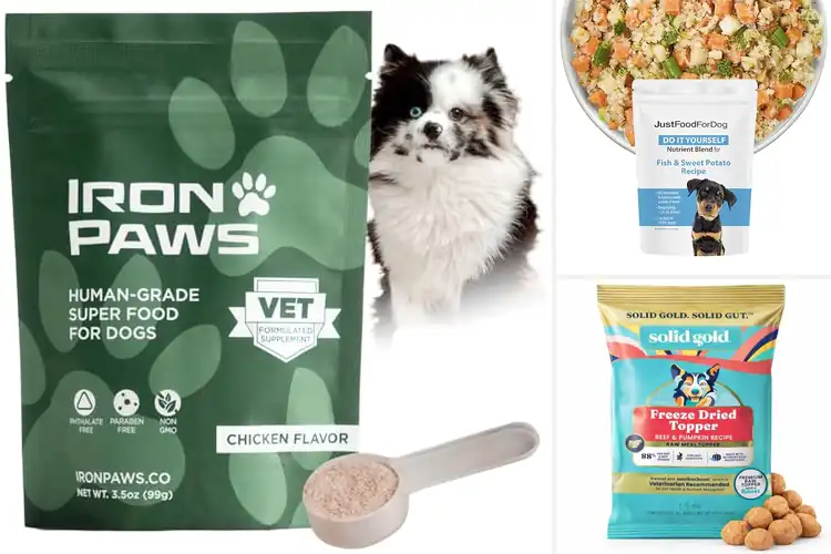 Detailed view of Best Nutrient Dense Dog Foods: 10 Healthy Picks for Your Pup