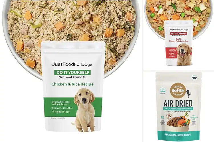 Detailed view of Best Nutrient Rich Dog Foods