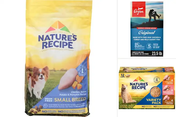 Detailed view of Best Original Dog Food Recipes: 10 Healthy & Happy Picks