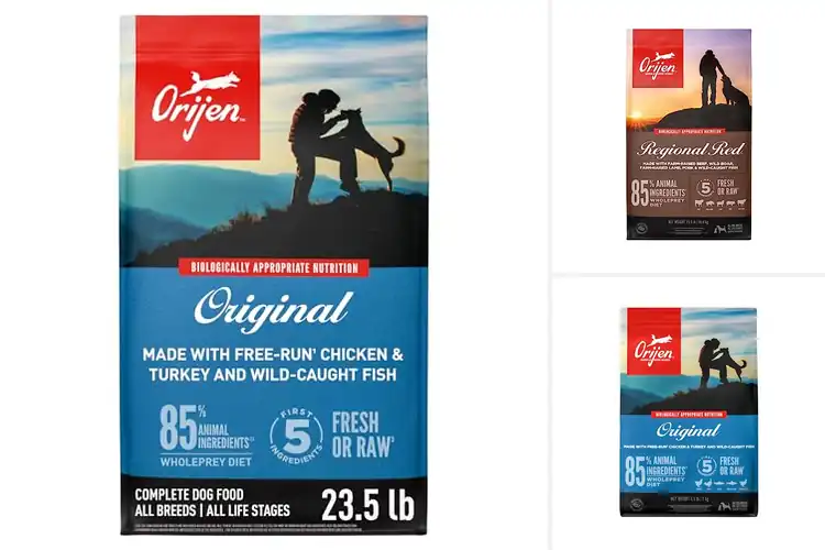 Detailed view of Best ORIJEN Dog Foods