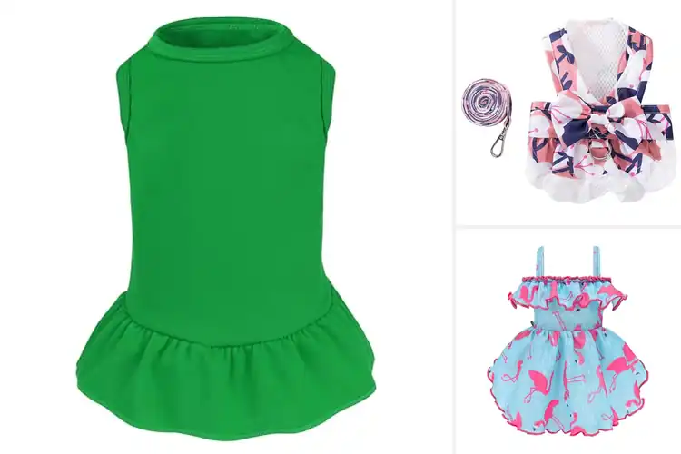 Detailed view of Best Outdoor Activity Dog Dress