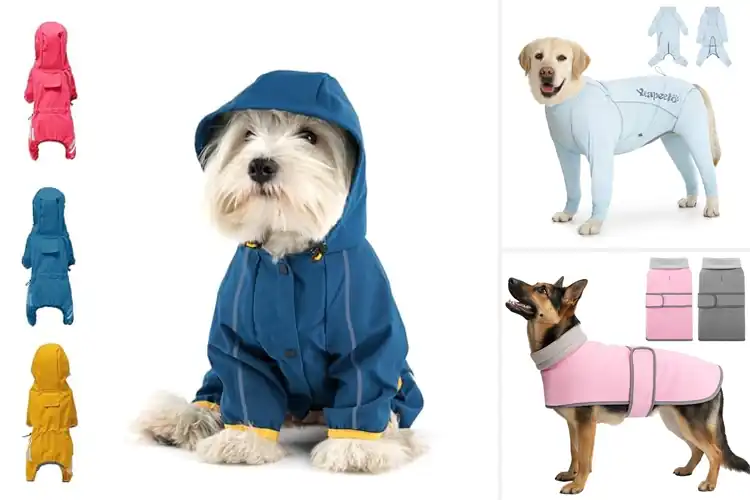 Detailed view of Best Outdoor Dog Clothes: Top 10 Picks