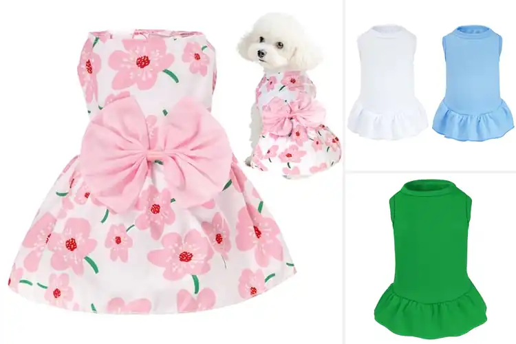 Detailed view of Best Outdoor Dog Dress