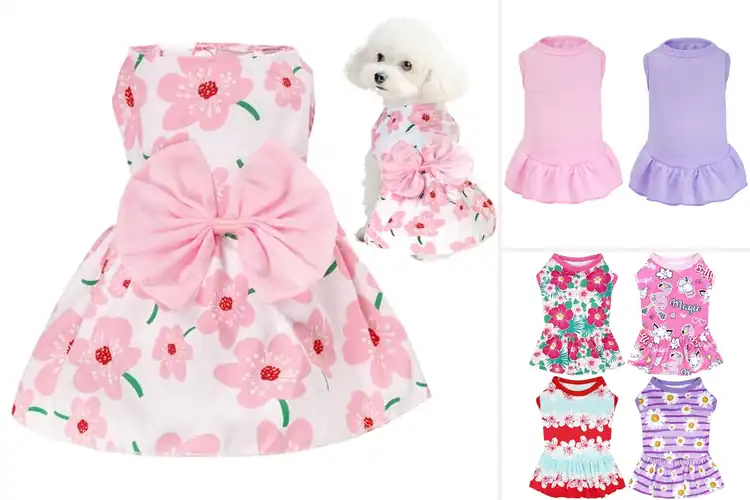 Detailed view of Best Outdoor Dog Dresses