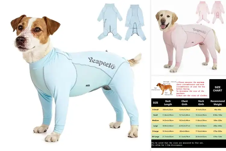 Detailed view of Best Outdoor Dog Outfit: 10 Top Picks for Style & Safety
