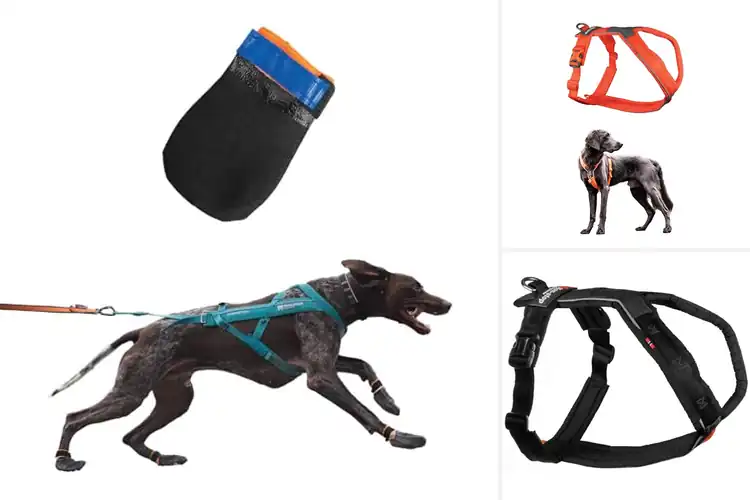 Detailed view of Best Outdoor Dogwear