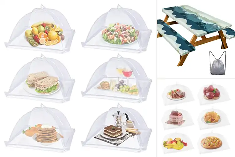 Detailed view of Best Outdoor Picnic Essentials