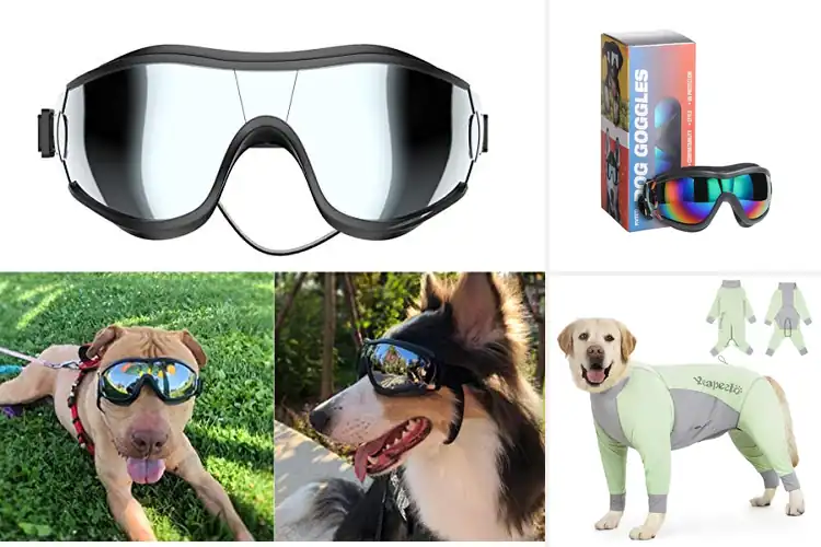 Detailed view of Best Outdoor Wear For Dogs