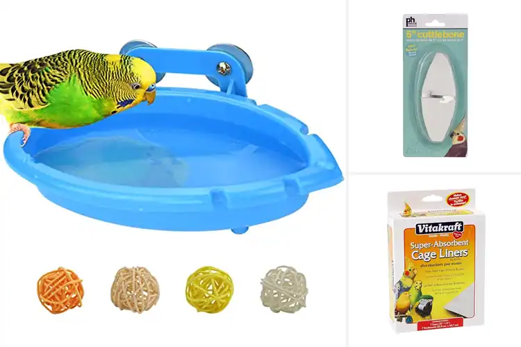 Detailed view of Best Parakeet Cage Accessories
