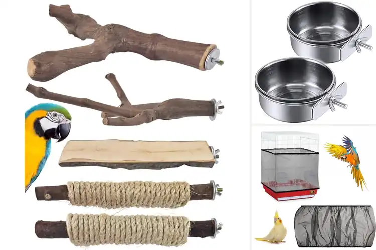 Detailed view of Best Parrot Cage Accessories
