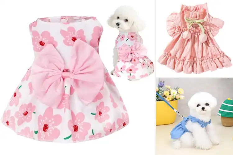 Detailed view of Best Pet Skirts: 10 Adorable Styles for Comfort & Charm