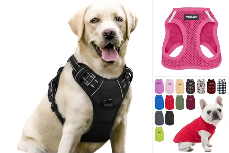 Detailed view of Best Pet Vests: Top 10 Picks for Safety & Style