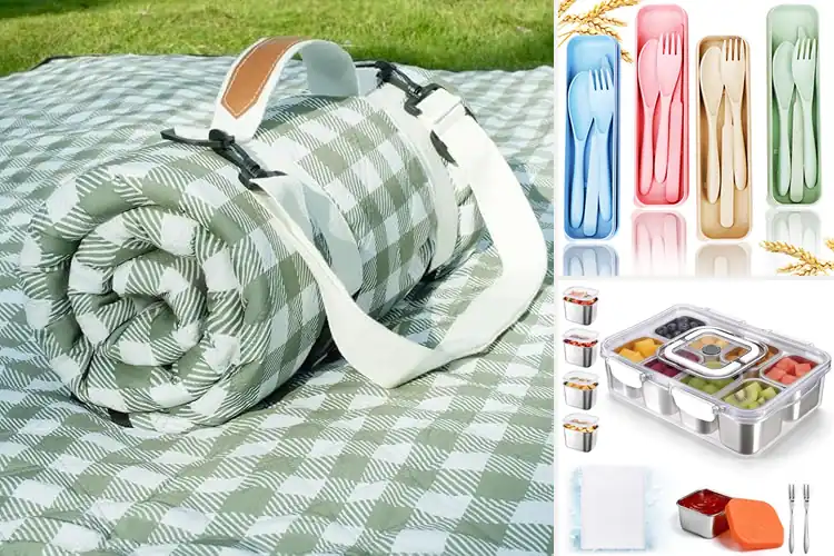 Detailed view of Best Picnic Essentials