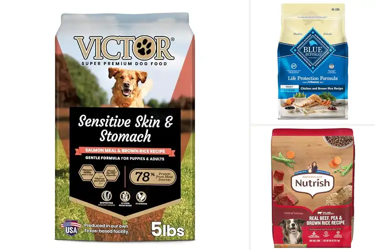 Detailed view of Best Premium Dry Dog Foods