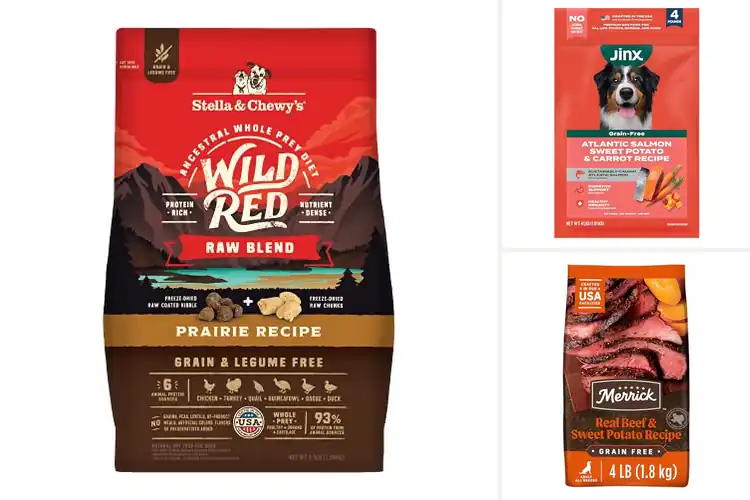 Detailed view of Best Premium Kibbles: Top 10 Nutritious Picks for Your Pet