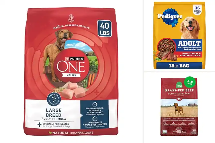 Detailed view of Best Protein Rich Dry Dog Food