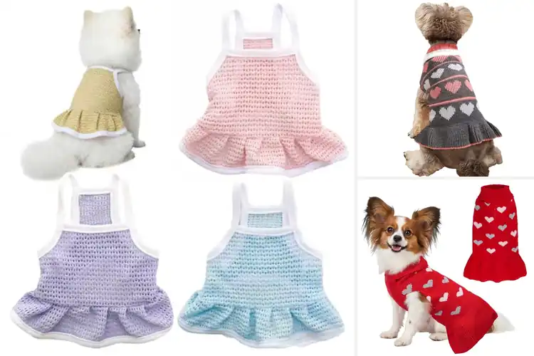 Detailed view of Best Pullover Dog Dress