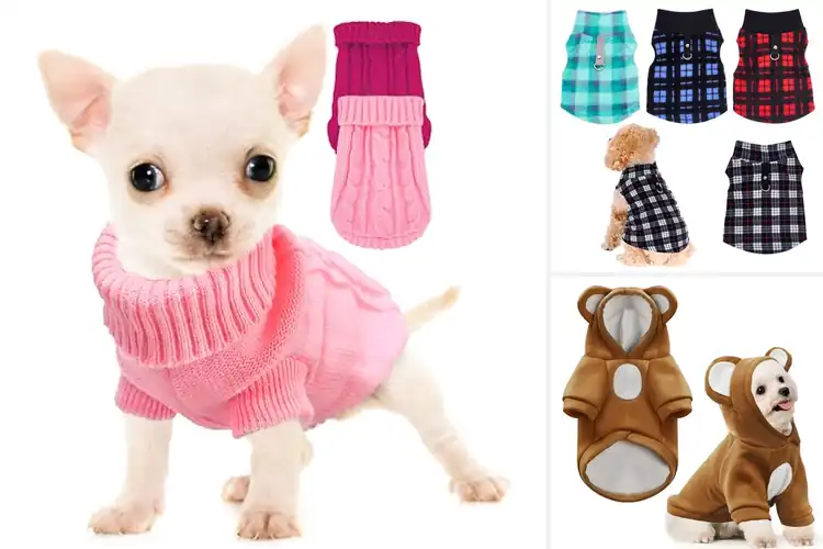 Detailed view of Best Pullover Dog Outfit