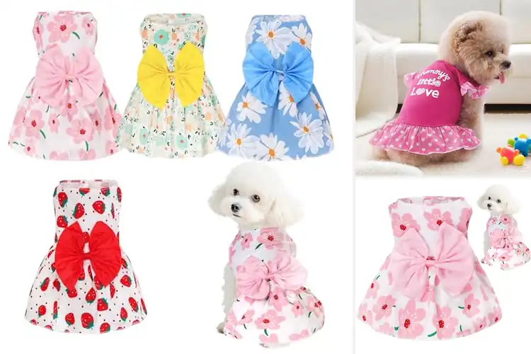 Detailed view of Best Puppies Dresses