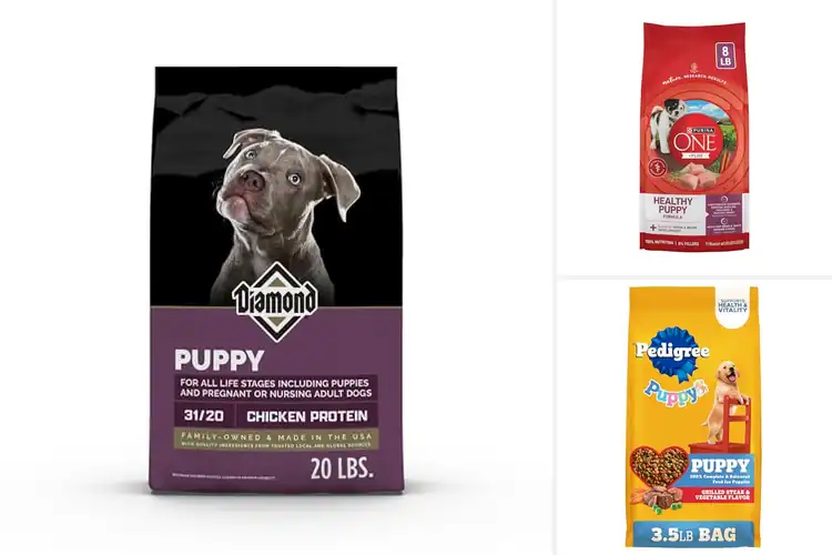Detailed view of Best Puppy And Adult Dog Foods: Top Picks for Optimal Health
