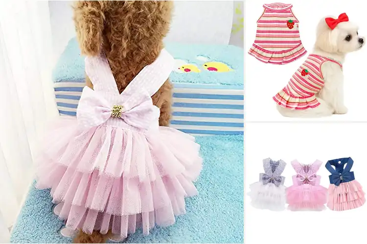 Detailed view of Best Puppy Dress Size Guide