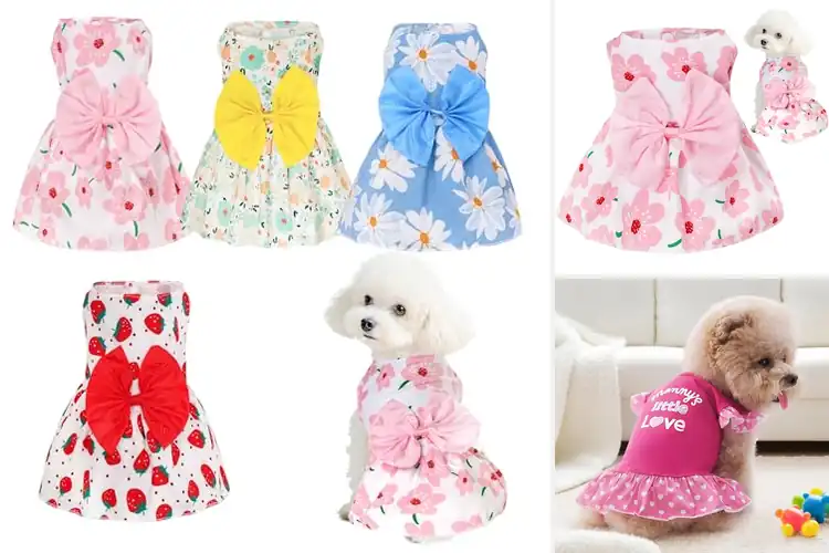 Detailed view of Best Puppy Dresses