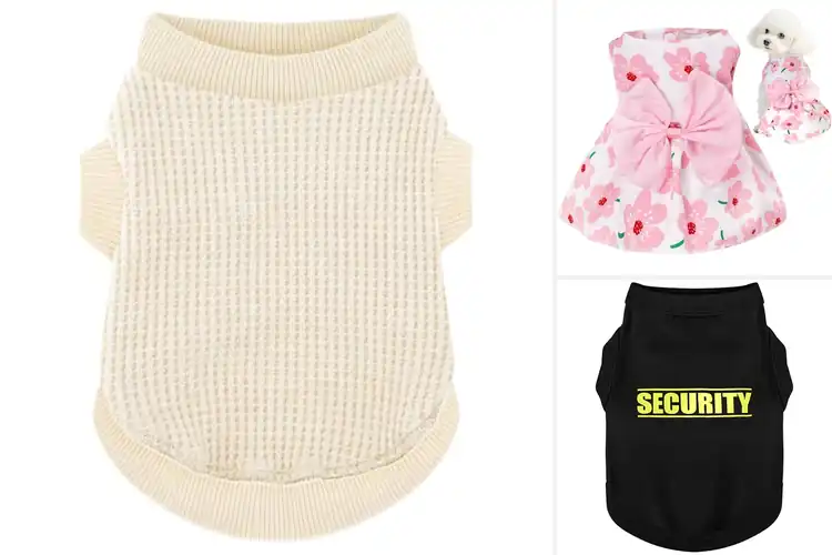 Detailed view of Best Puppy Outfits: 10 Stylish & Cozy Picks for Every Season