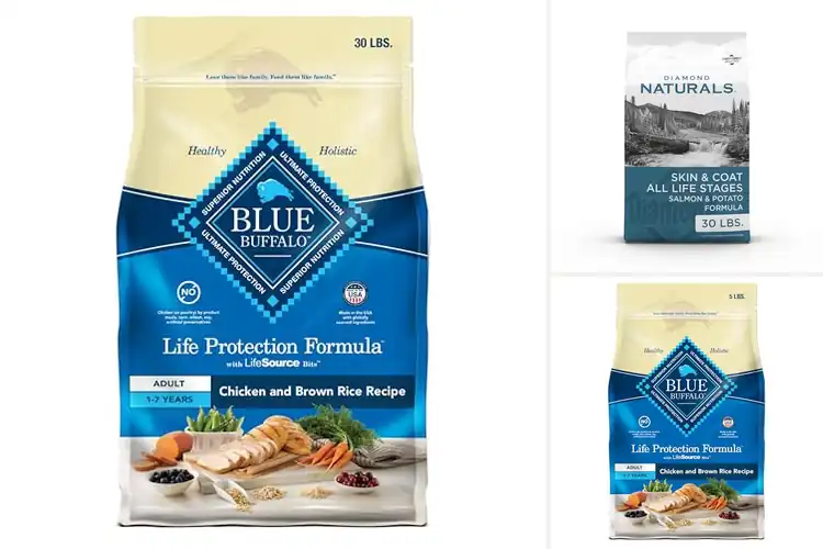 Detailed view of Best Quality Dog Food Ingredients