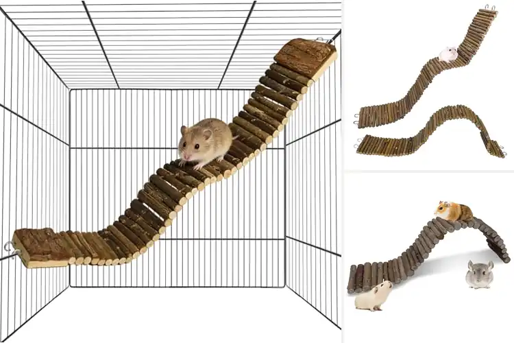Detailed view of Best Rat Ladder Bridges: 9 Top-Rated Options for Endless Fun