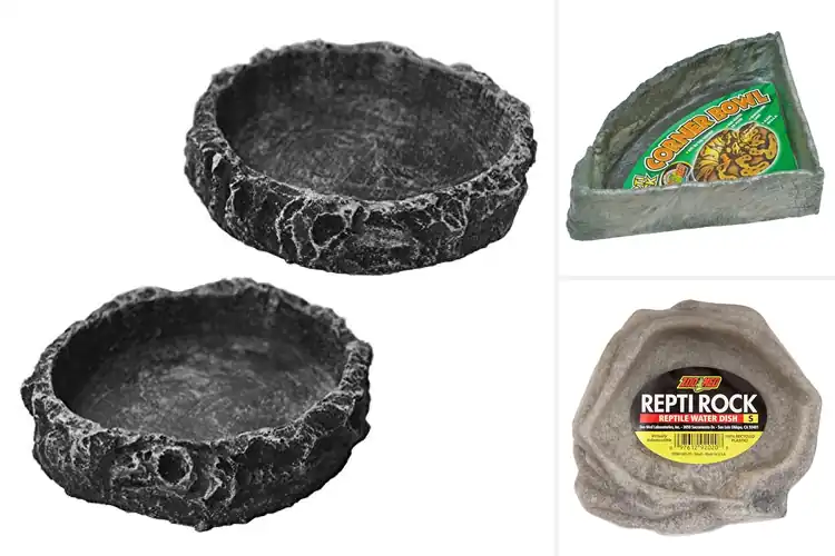 Detailed view of Best Reptile Water Dishes for a Clean, Hydrated Habitat