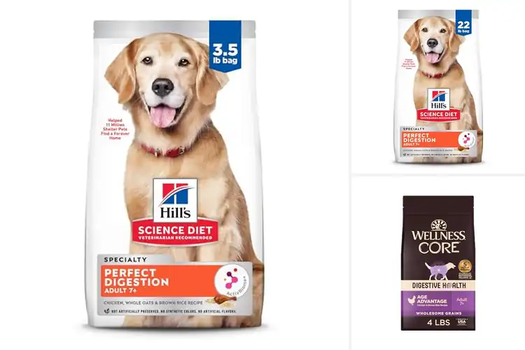 Detailed view of Best Senior Dog Foods for Digestion